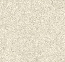 Ковролин AW Gaia Equinox 03 фото 1 | FLOORDEALER